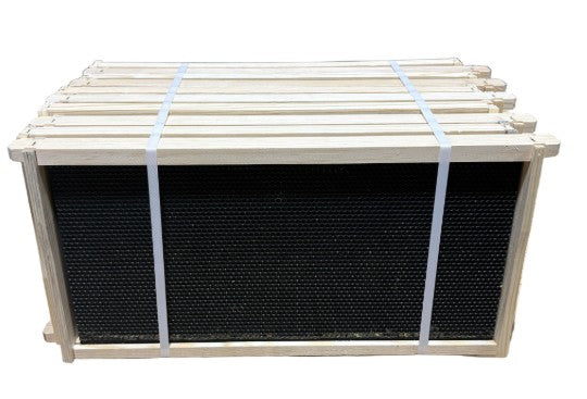 Assembled Deep Frames with black foundation 10 Pack