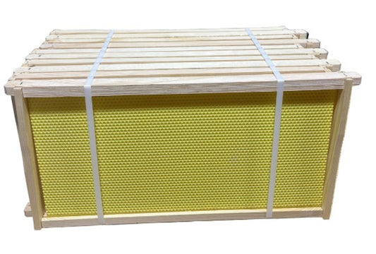 Assembled Deep Frames with yellow foundation 10 Pack