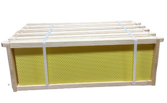 Assembled Medium Frames with yellow foundation 10 Pack